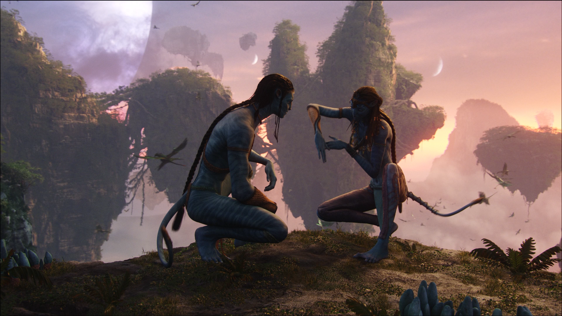Photo from Avatar Film